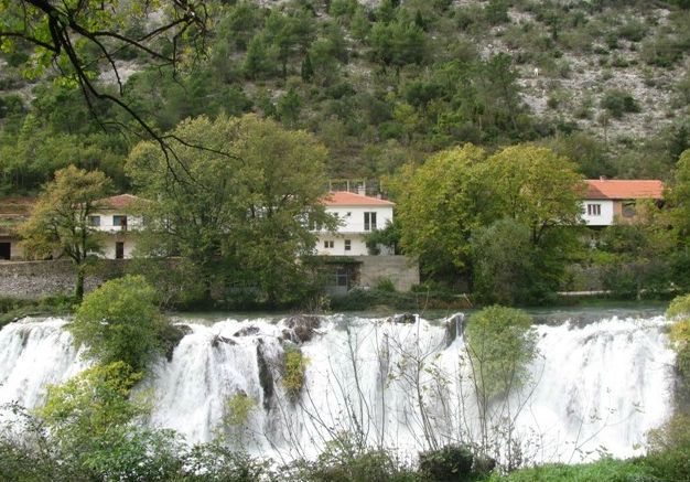 foto_Udruženje Orhideja