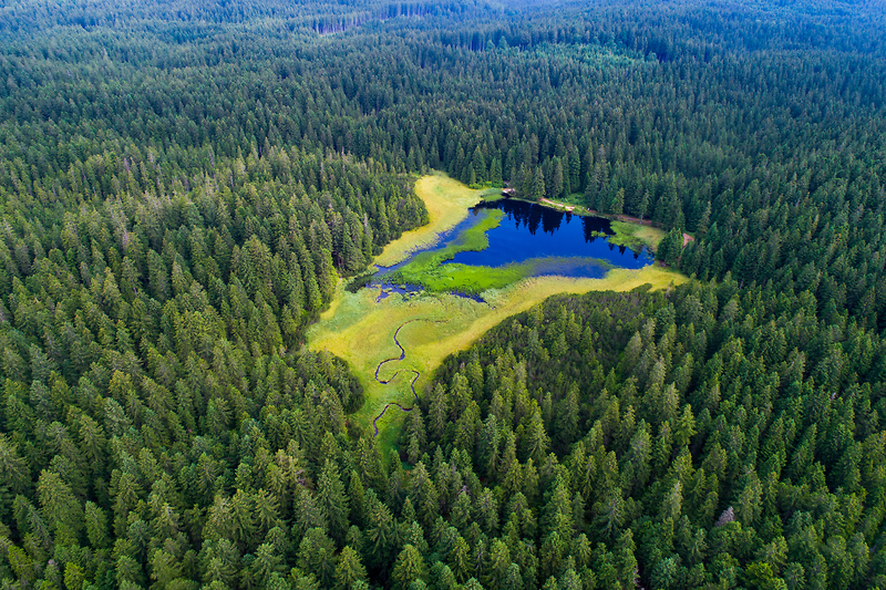 Crno jezero / Mariborsko Pohorje