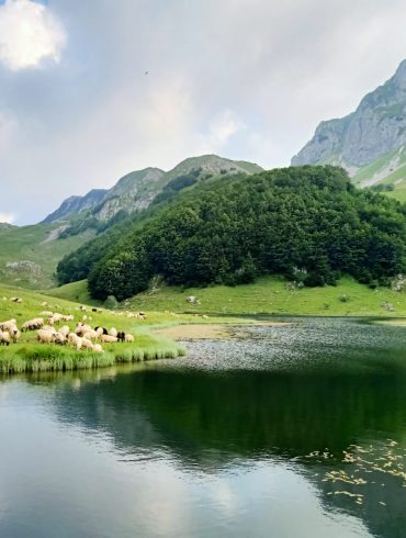 Zelengora planina