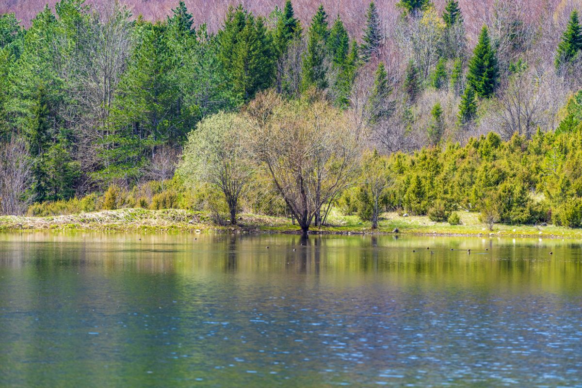 Veleško jezero Gorsko oko foto Almir Grebović