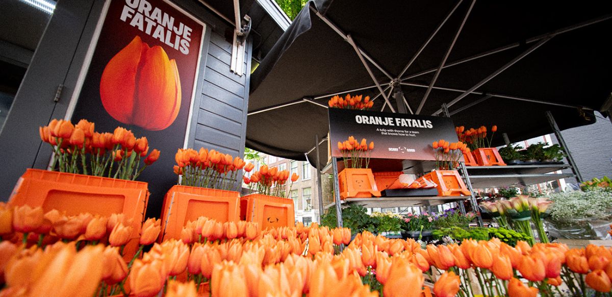 Oranje Fatalis