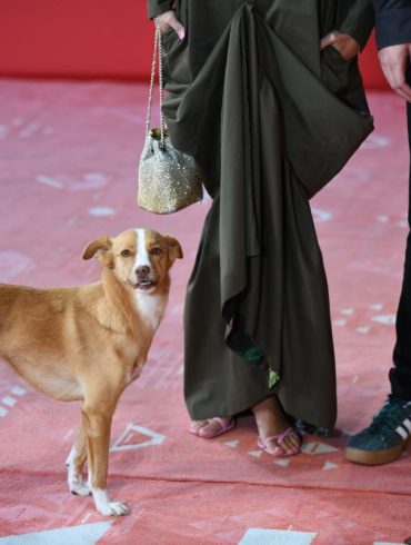 Lija, Dragana Jovović i Stefan Đođević