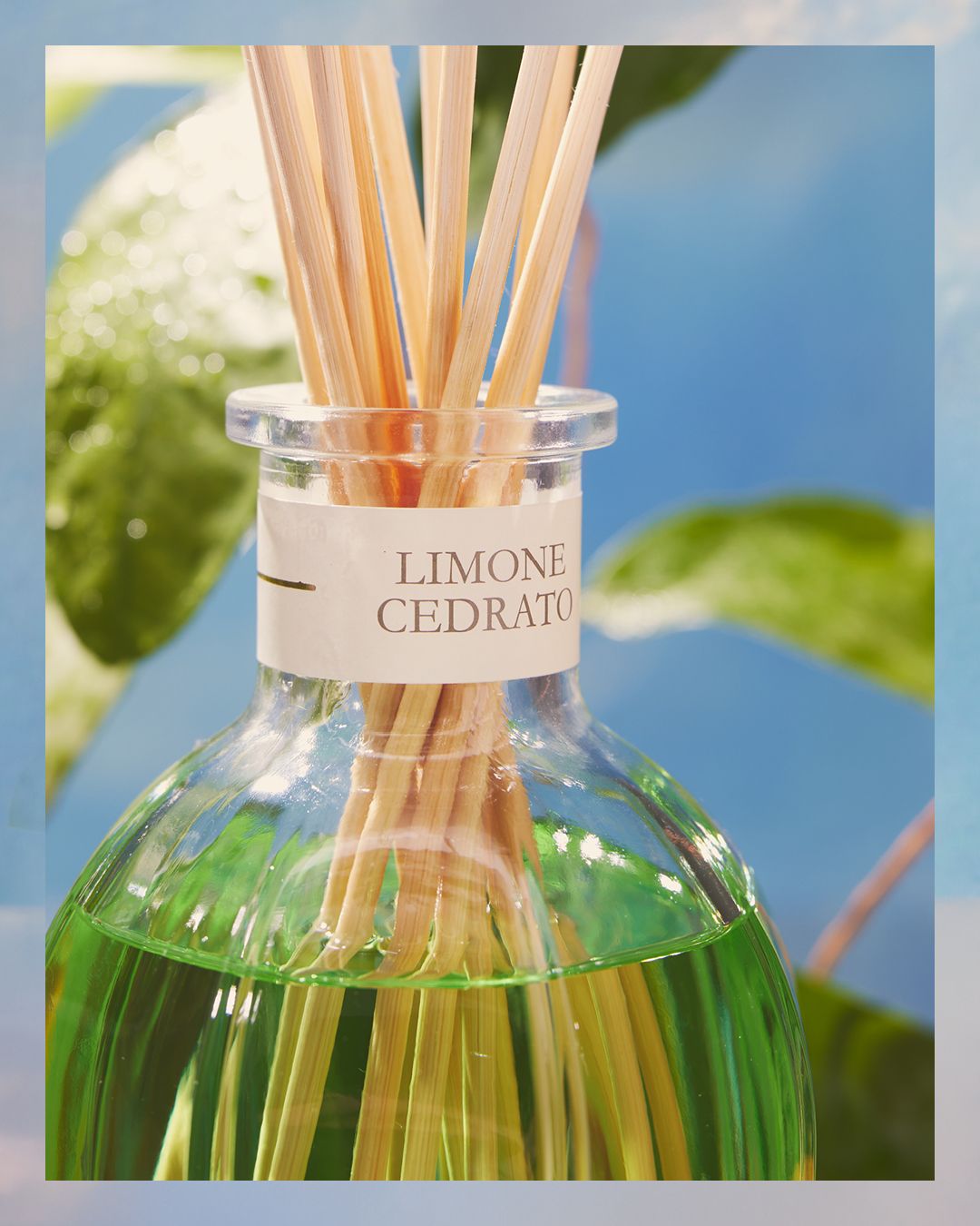 Limone Cedrato