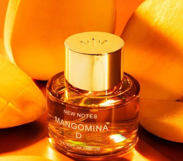 mangomina d
