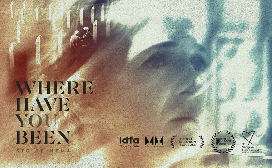 Filmski poster dokumentarca "Što te nema" – sjevernoamerička premijera na 22. Bosanskohercegovačkom filmskom festivalu u New Yorku, april 2025.