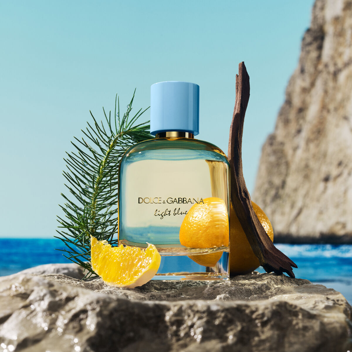 Dolce&Gabbana Light Blue Pour Homme Eau de Parfum 100ml bočica s mandarinom, čempresom i cedovinom uz more